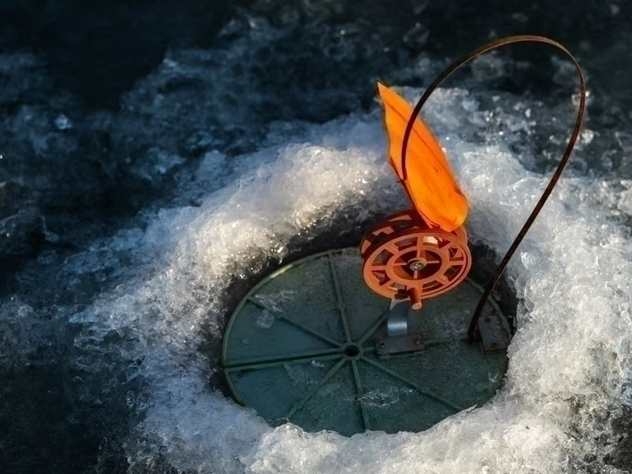 the company serving the area — local professionals you can trust